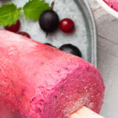 Sorbet yaourt de chèvre nature & framboise